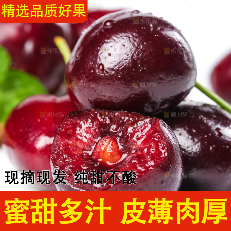 白底上的新鲜车厘子