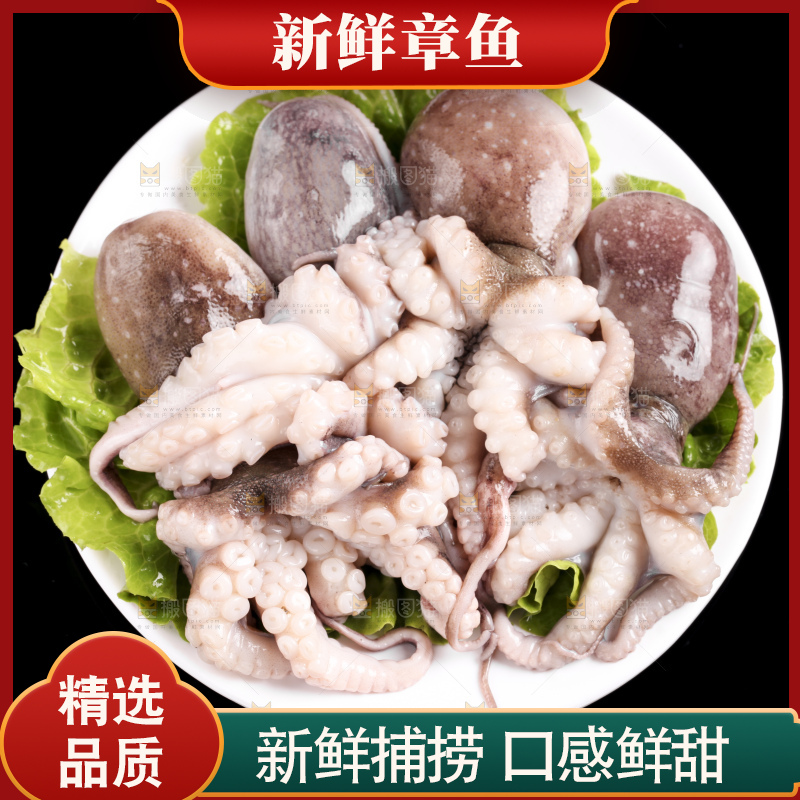 黑底上放着大连章鱼