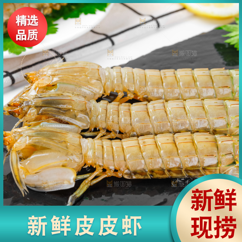 黑石板上的濑尿虾