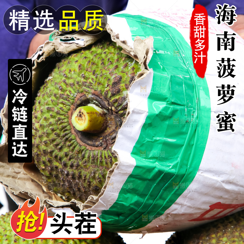 农民手里拿着菠萝蜜