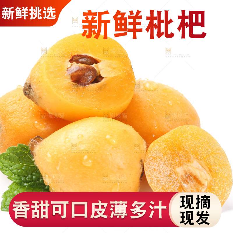 白底上的枇杷