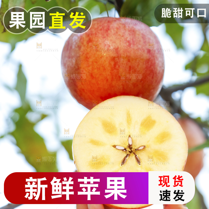 手里拿着新疆冰糖心苹果