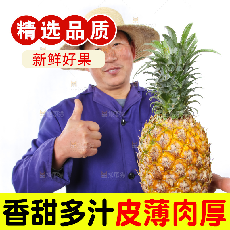 农民手里拿着香水菠萝