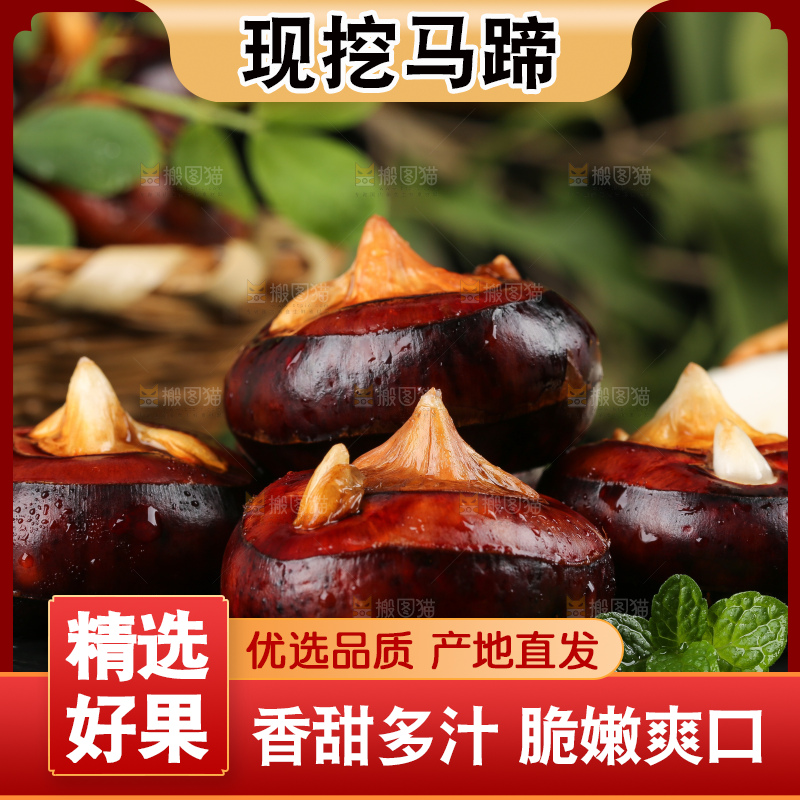 黑石板上的荔浦马蹄