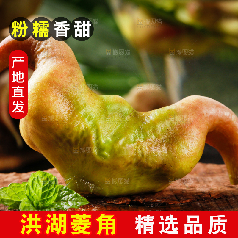 深底上的菱角