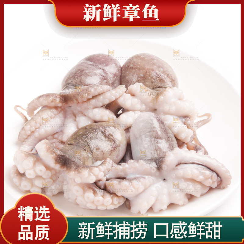 白底上摆放着小章鱼