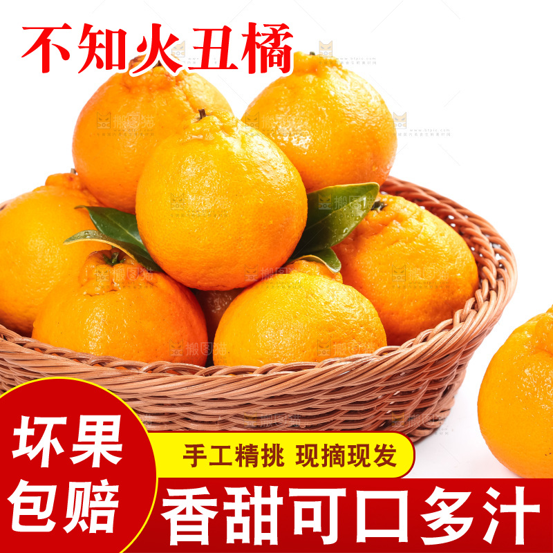 篮子里装着四川丑柑