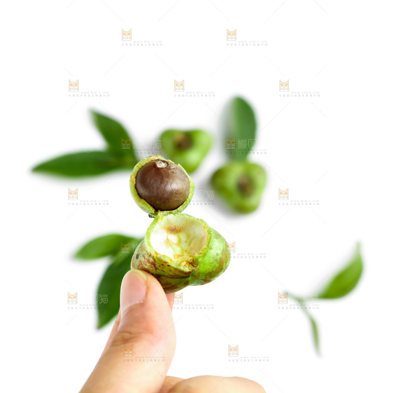 白底上放着绿茶叶