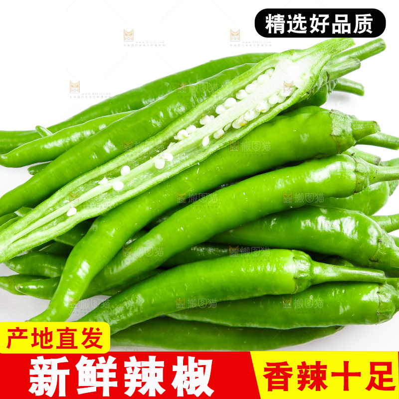 白底上摆放着新鲜杭椒