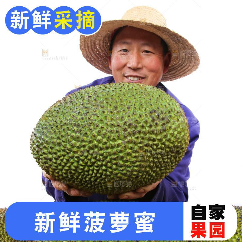 农民手里拿着菠萝蜜