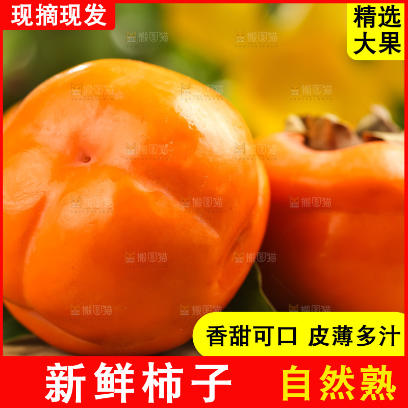 木板上放着易县磨盘柿