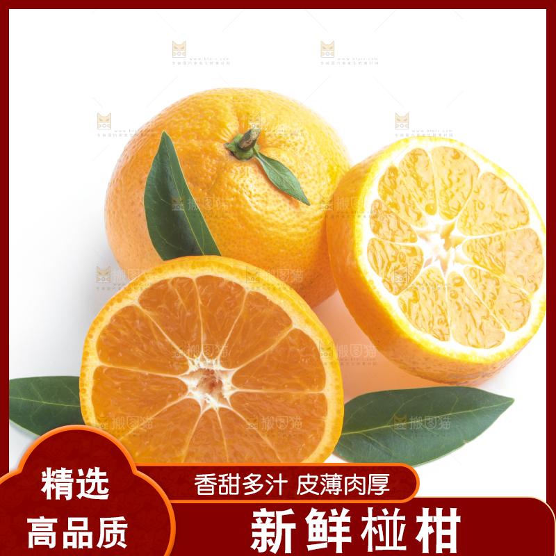 白底上放着柑橘