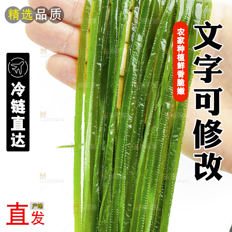 手里拿着海带丝