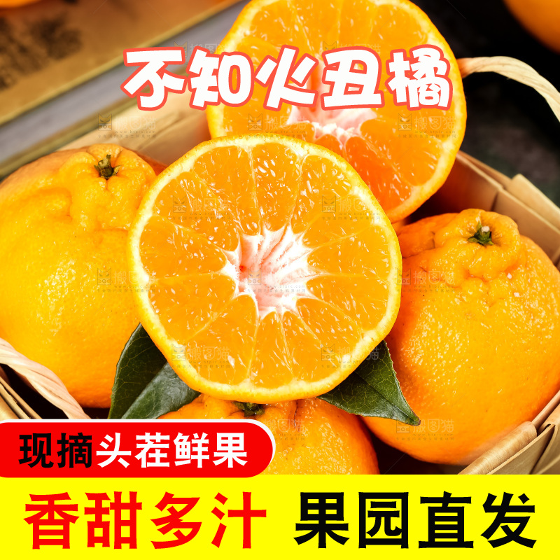 篮子里装着四川丑柑