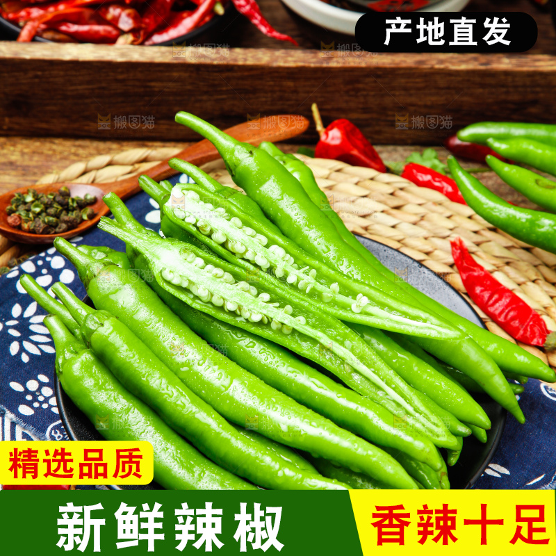 花布底上的青椒