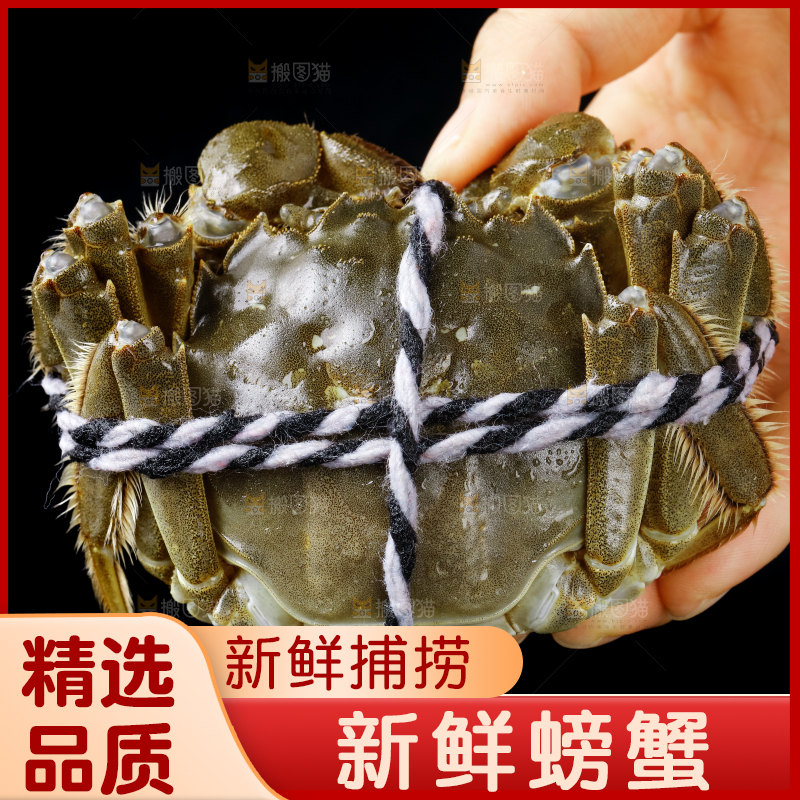 手里拿着鲜活螃蟹