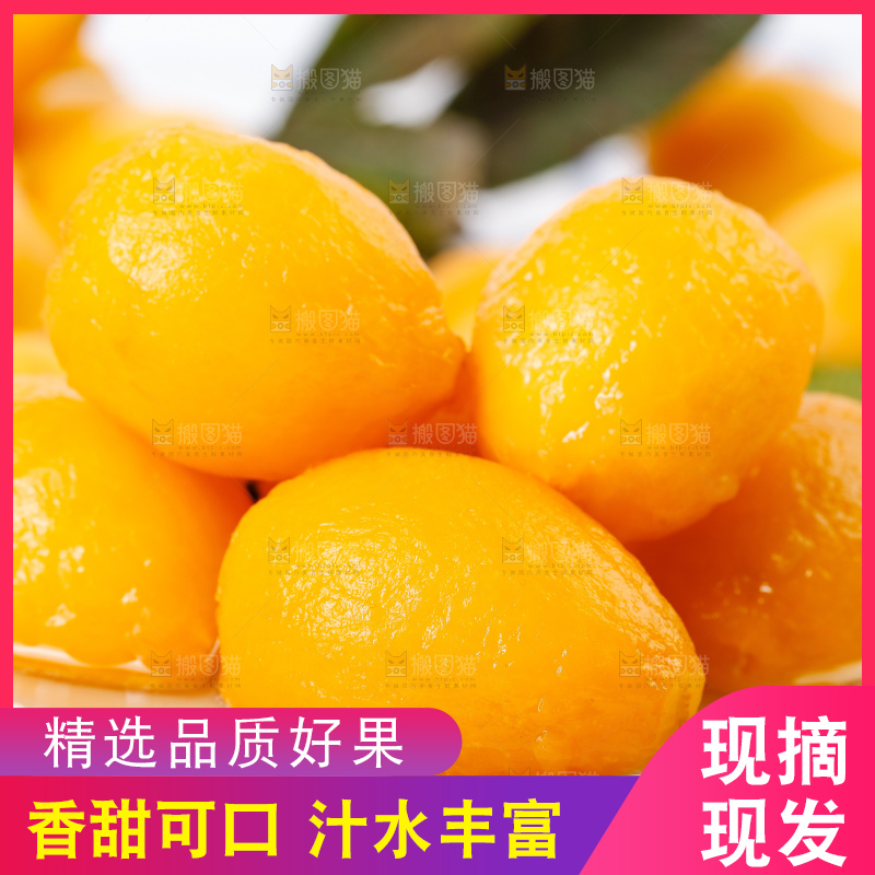 碗里的攀枝花米易枇杷