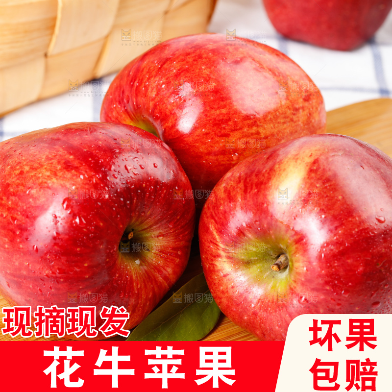 木底上的天水花牛苹果
