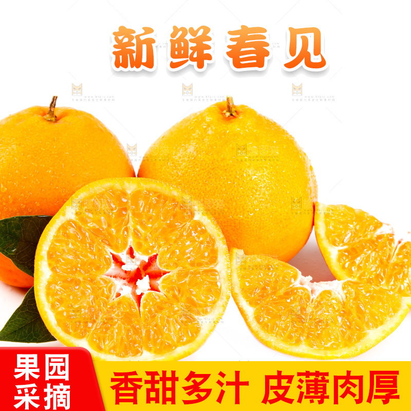 白底上放着耙耙柑