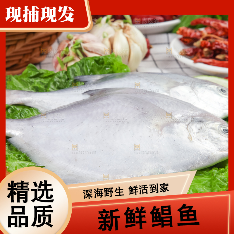 木板上放着银鲳鱼