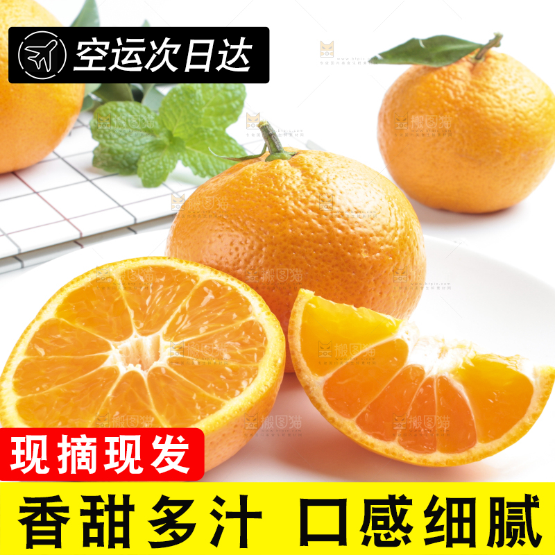 盘子里装着柑橘