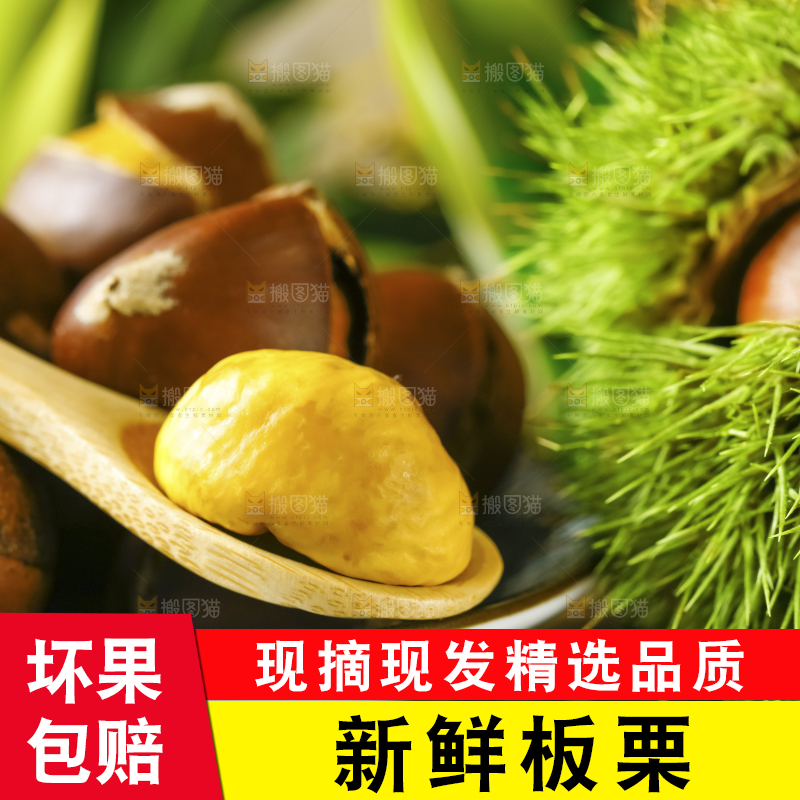 深底上的迁西板栗