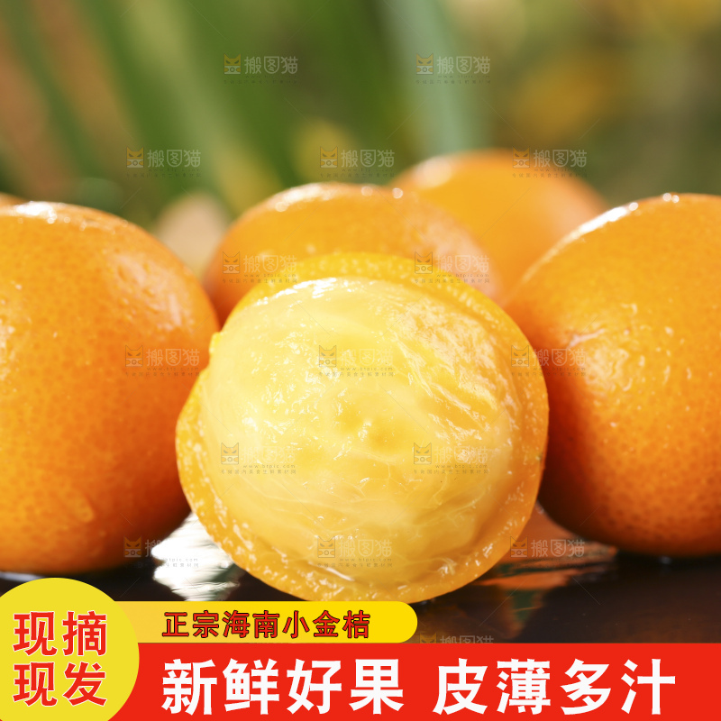 黑石板上的广西金钱橘