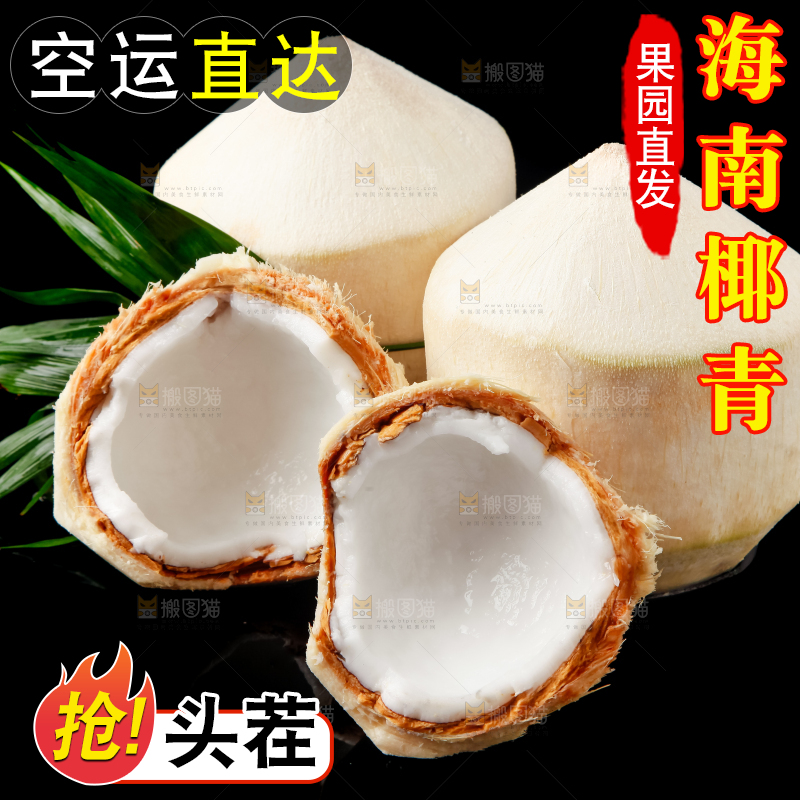 黑底上的青椰子