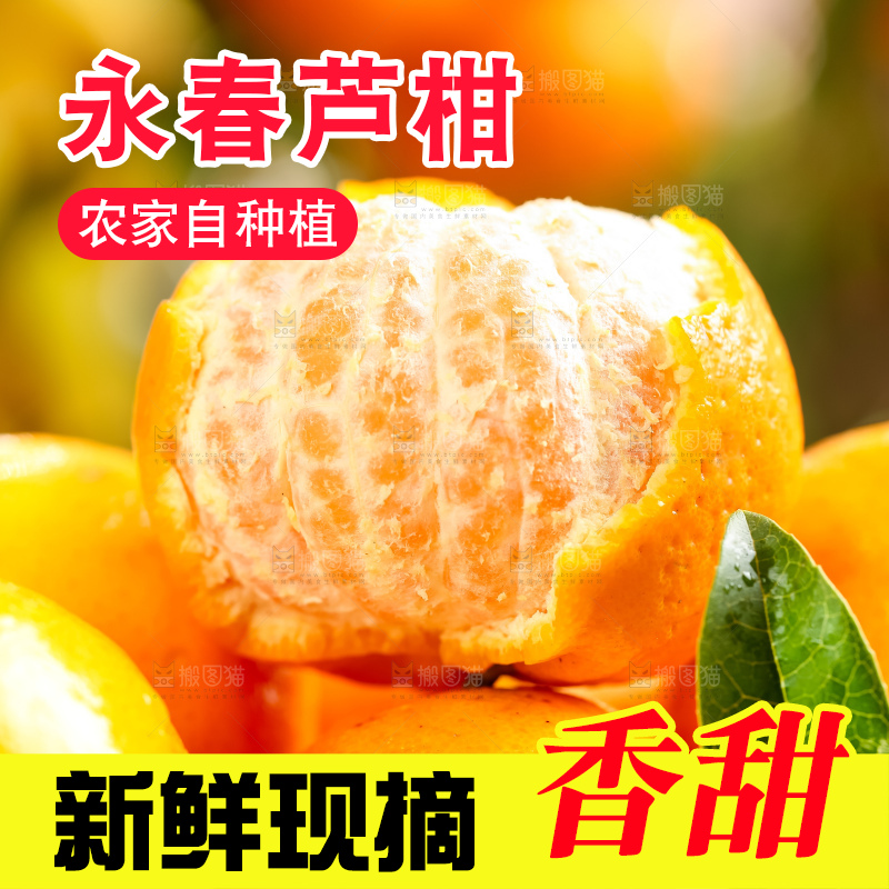 黄底上的椪柑橘