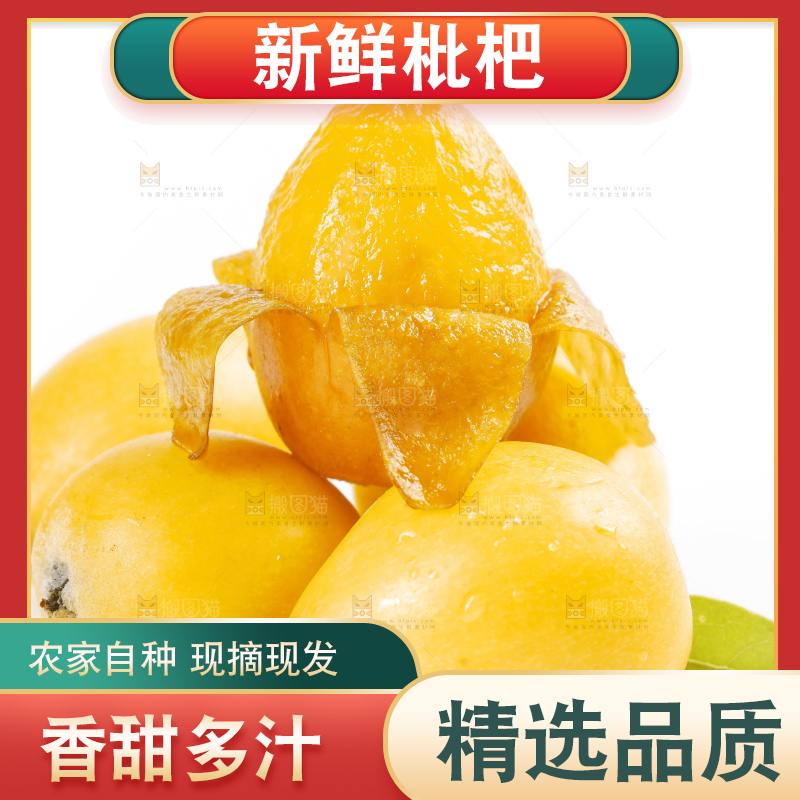 白底上的米易枇杷