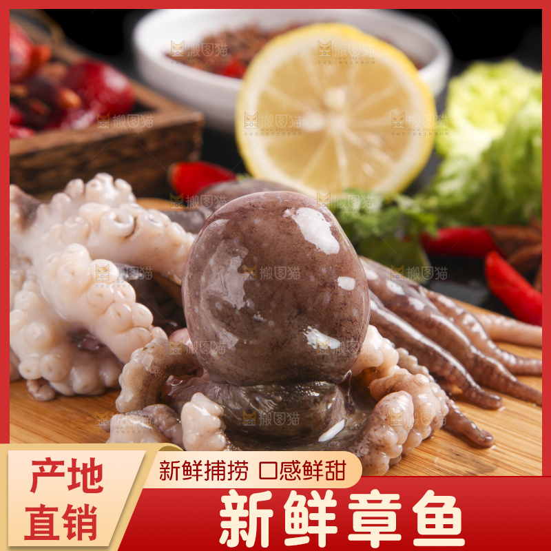 木板上的大连章鱼