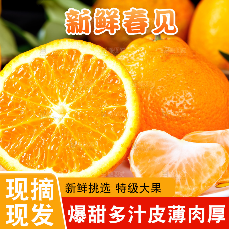 盘子里装着四川春见耙耙柑