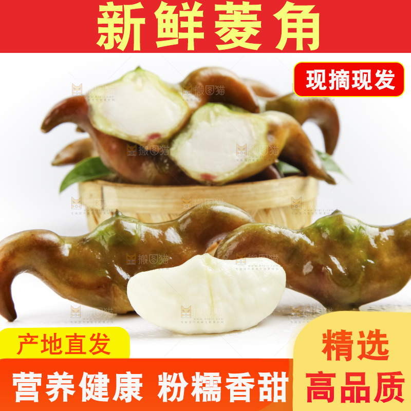 白底上的菱角