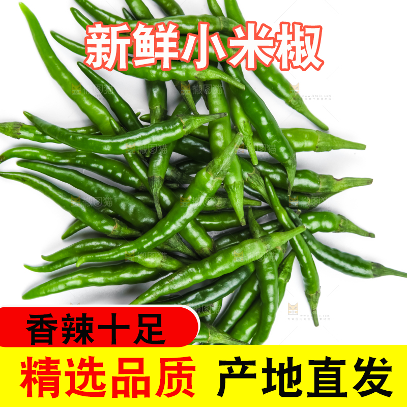 白底上的小米椒