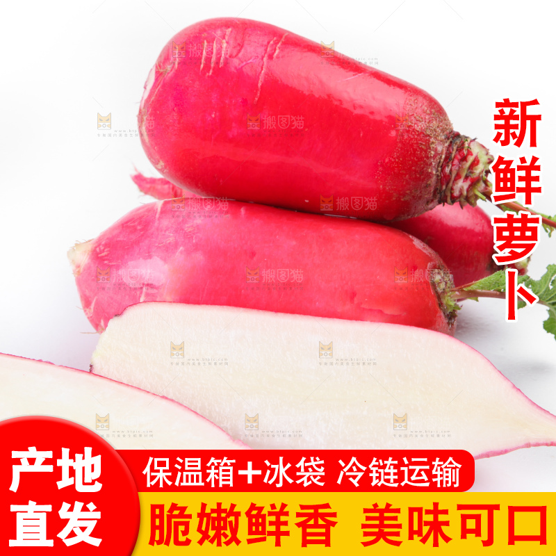 白底上的红萝卜