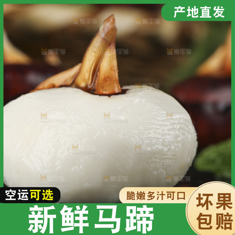 黑石板上的荔浦马蹄