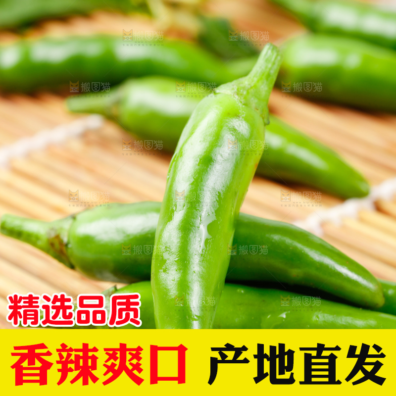 竹底上摆放着青米椒