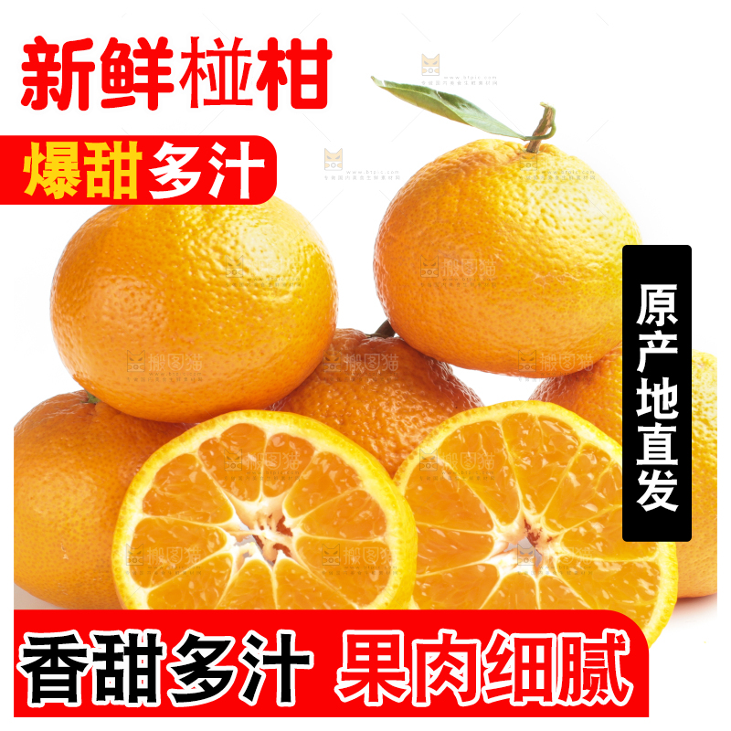 白底上的椪柑橘