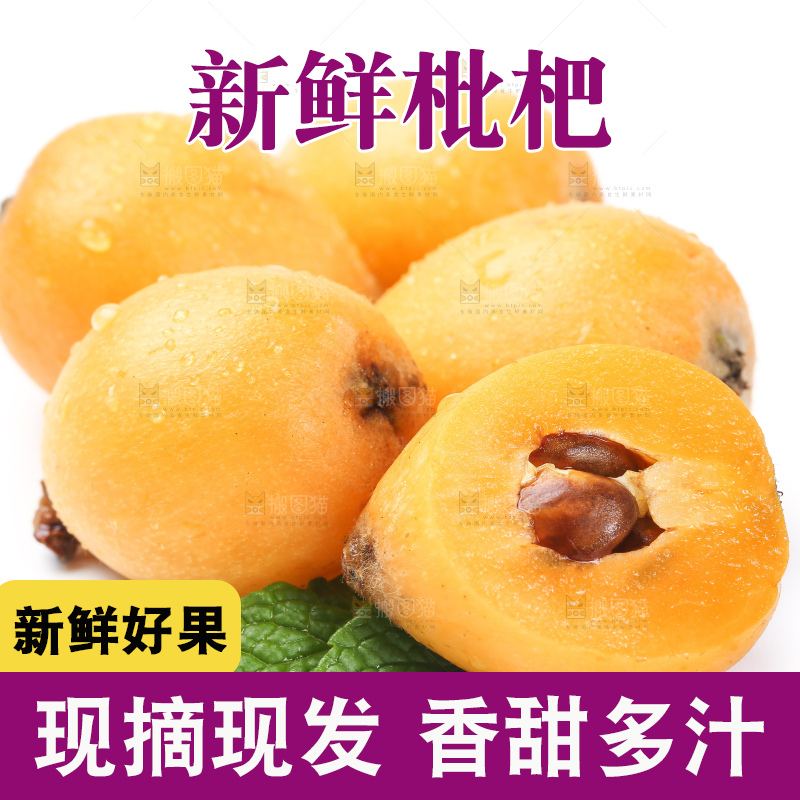 白底上的枇杷