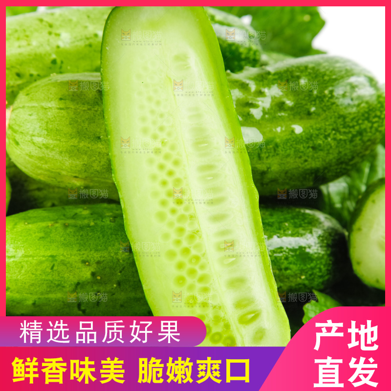 篮子里装着刺黄瓜