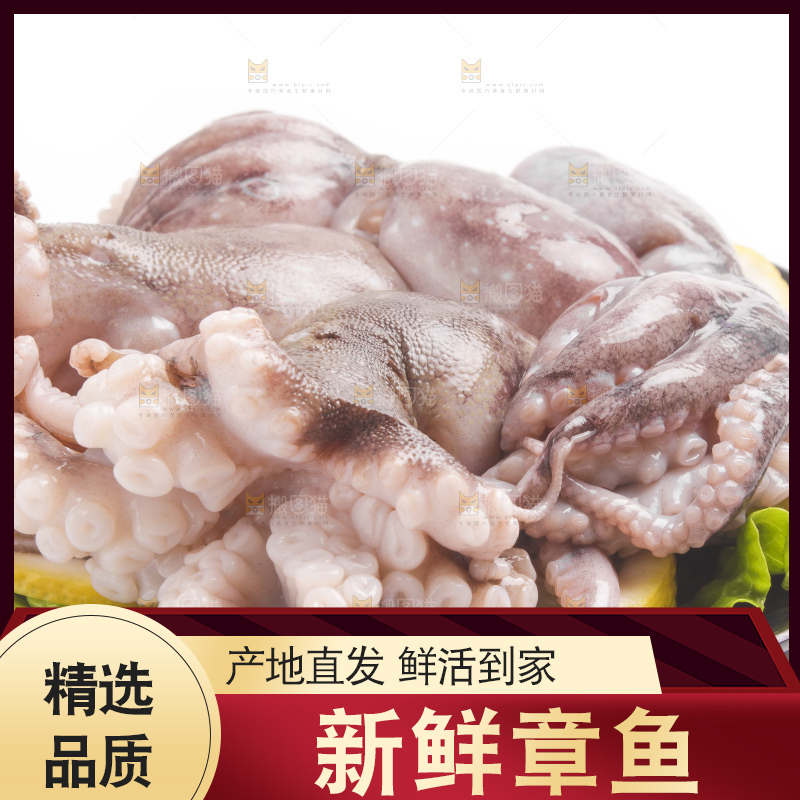 盘子里的大连章鱼
