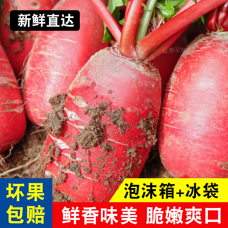 地里长着红萝卜