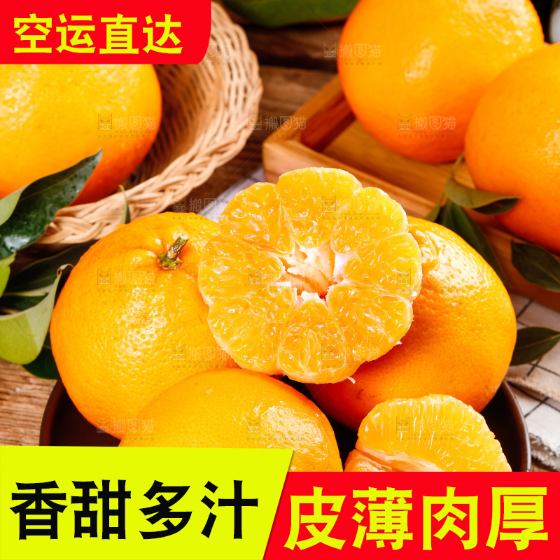 盘子里装着四川春见耙耙柑