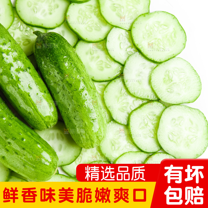 白底上放着黄瓜片