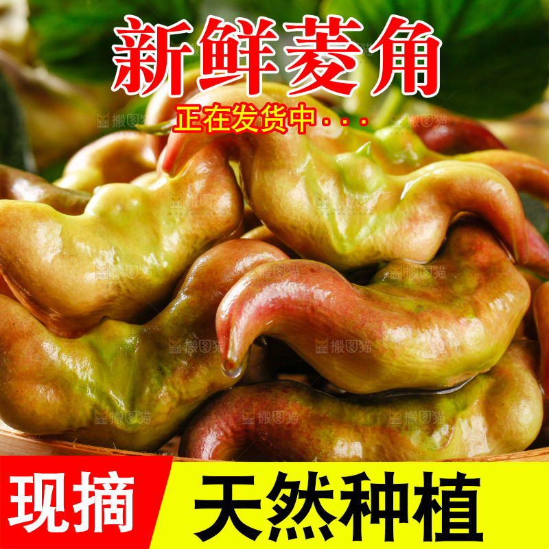 篮子里装着菱角