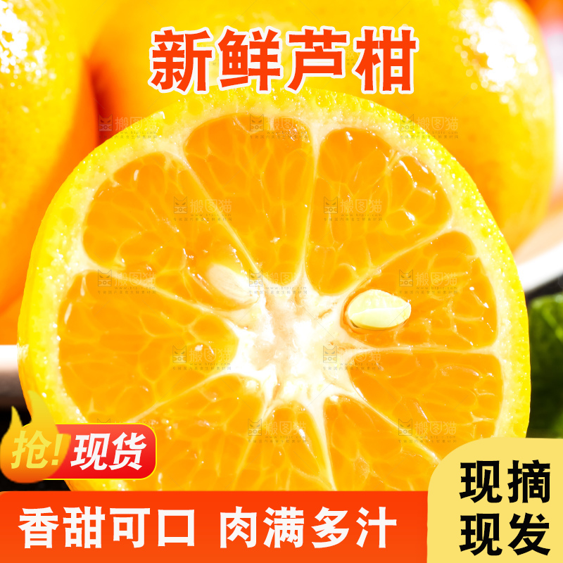 黑底上的福建芦柑