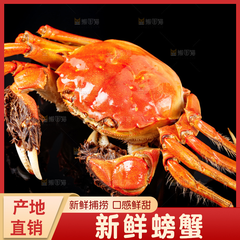 黑底上放着清蒸螃蟹