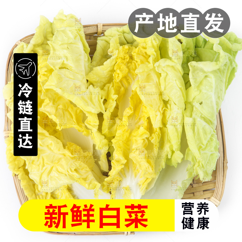 篮子里装着白菜