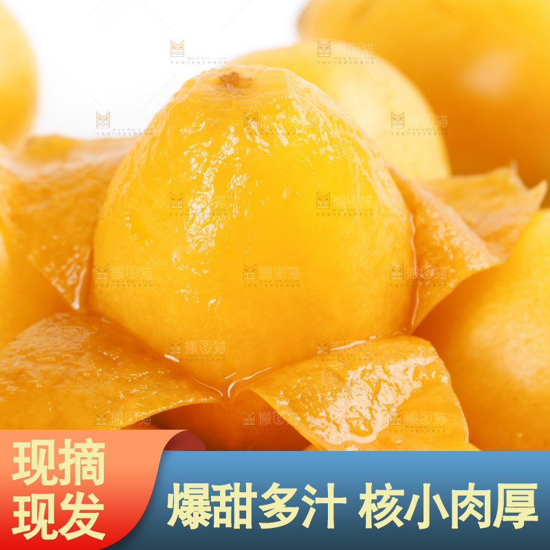 白底上的米易枇杷