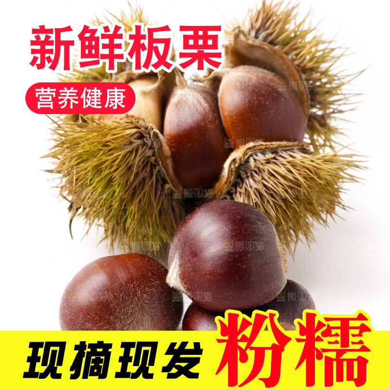 白底上放着迁西板栗